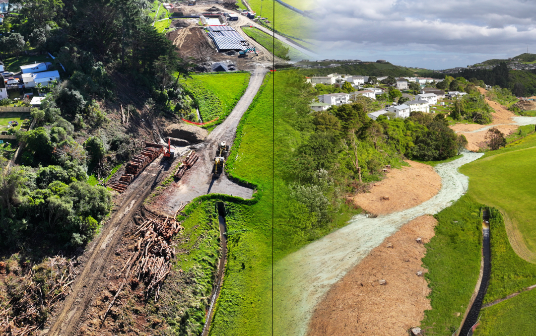 Bothamly Park before-after