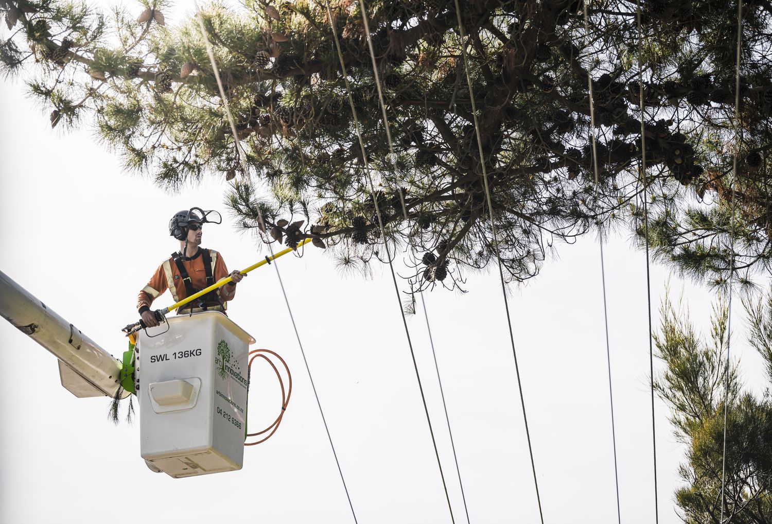 Arb Innovations arborist pruning from an elevated work platform
