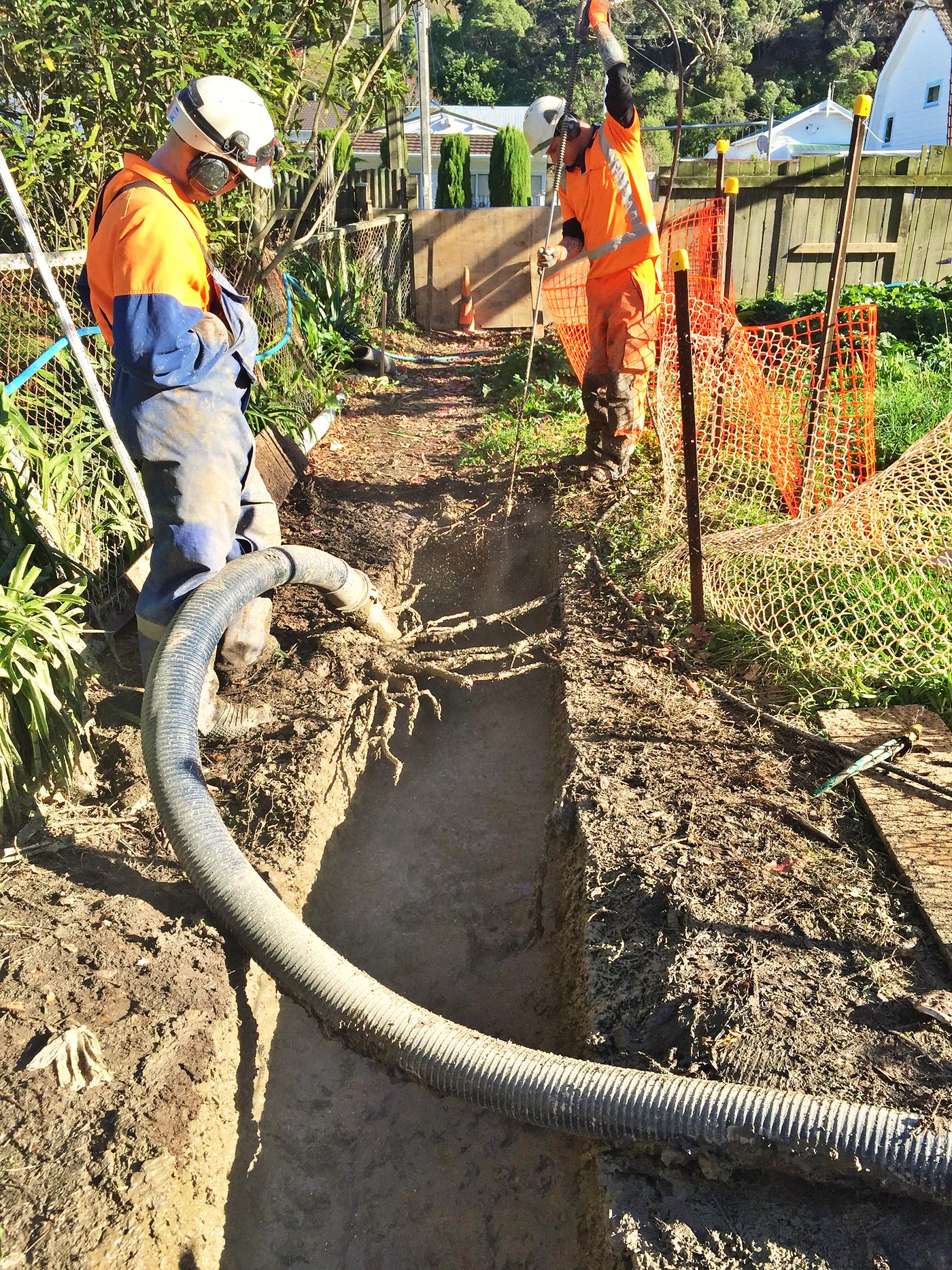 An Arb Innovations crew air-excavating a service trench beside a retained tree, with protective fencing set out